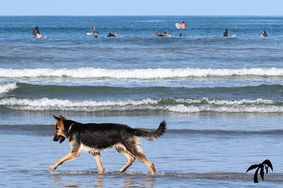 March 24th 2023 - Friday