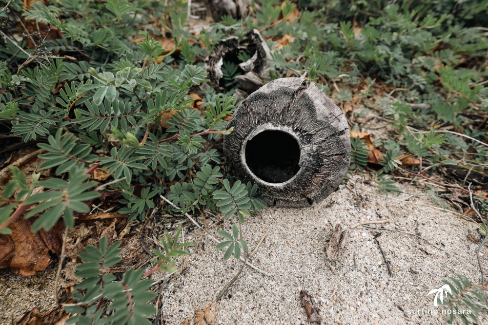 May 31st 2023 - Wednesday