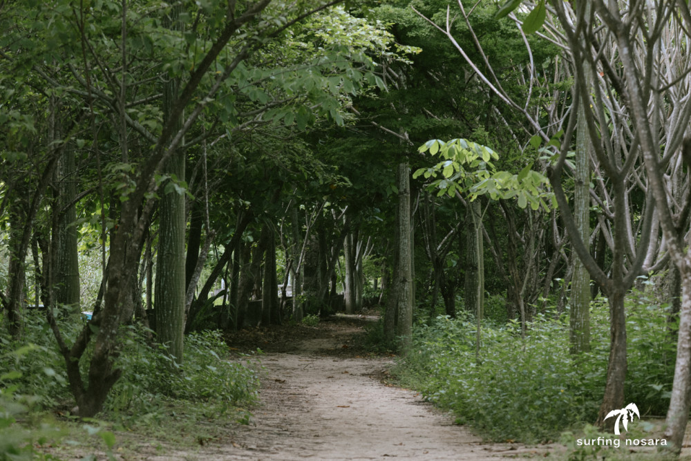 July 23rd 2023 - Sunday