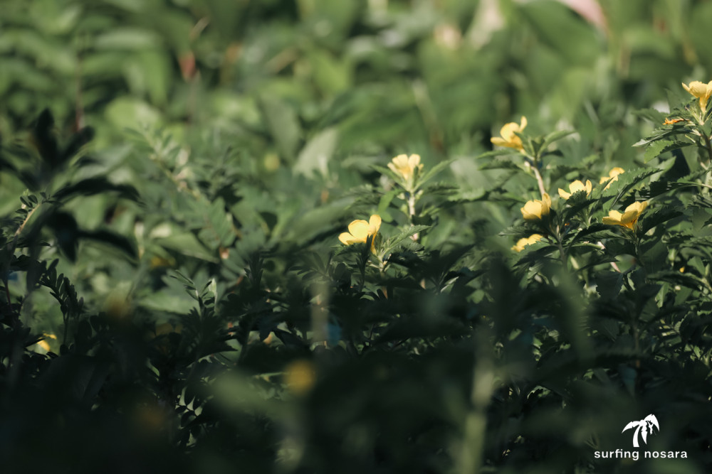 July 25th 2023 - Tuesday