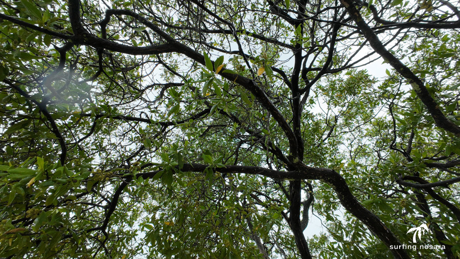 October 11th 2023 - Wednesday