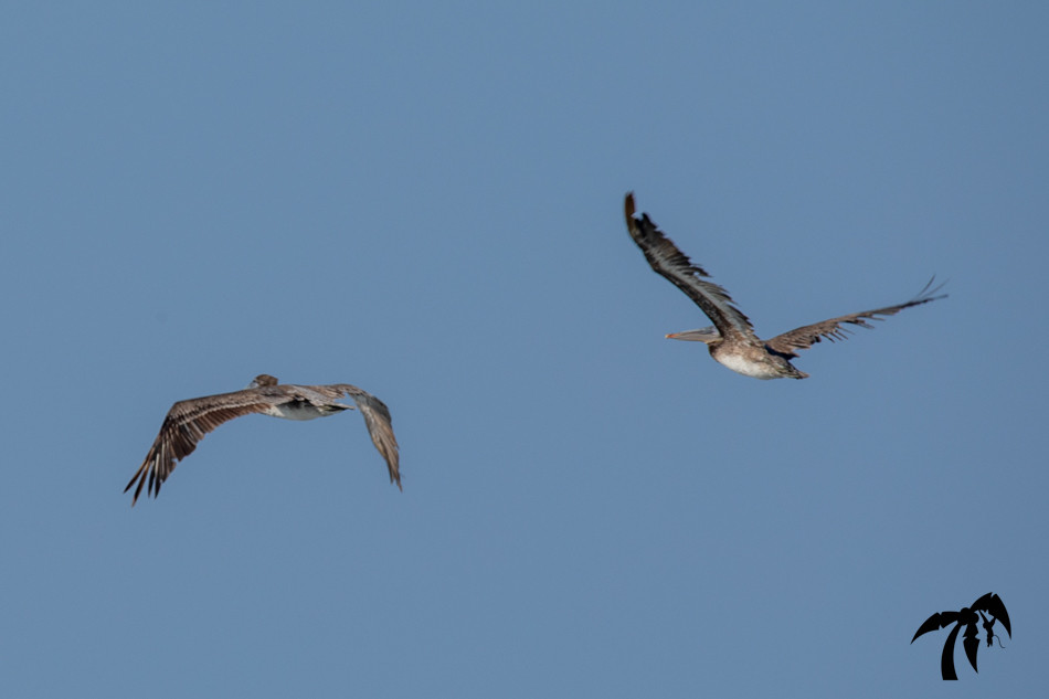 May 6th 2024 - Monday