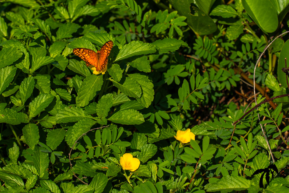 May 22nd 2024 - Wednesday