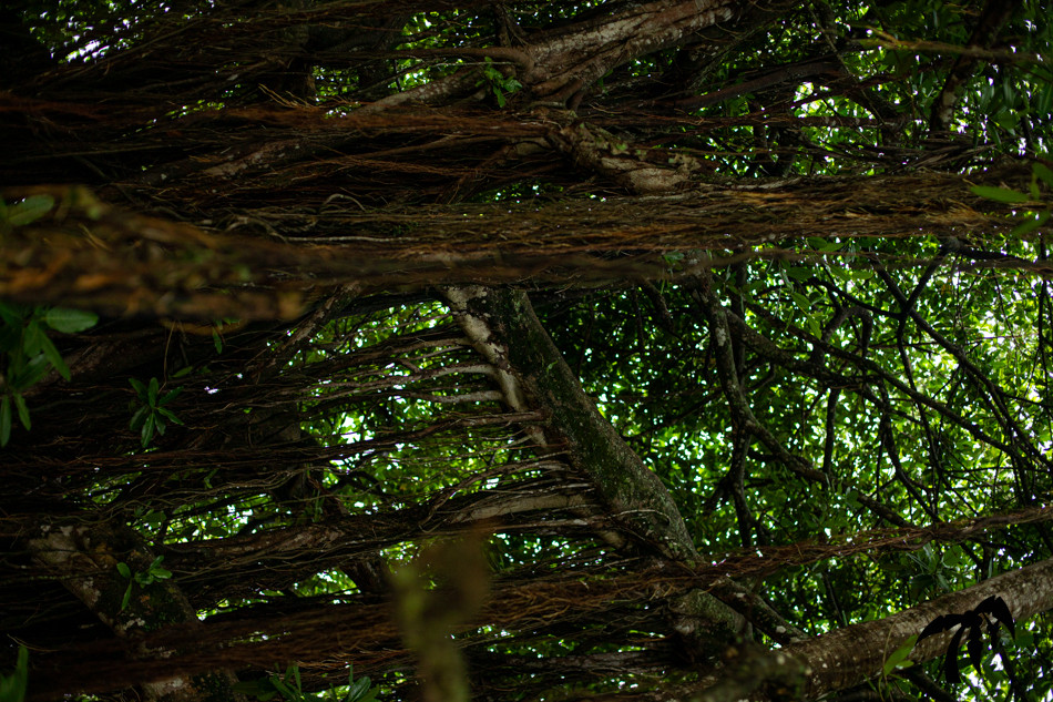 June 7th 2024 - Friday