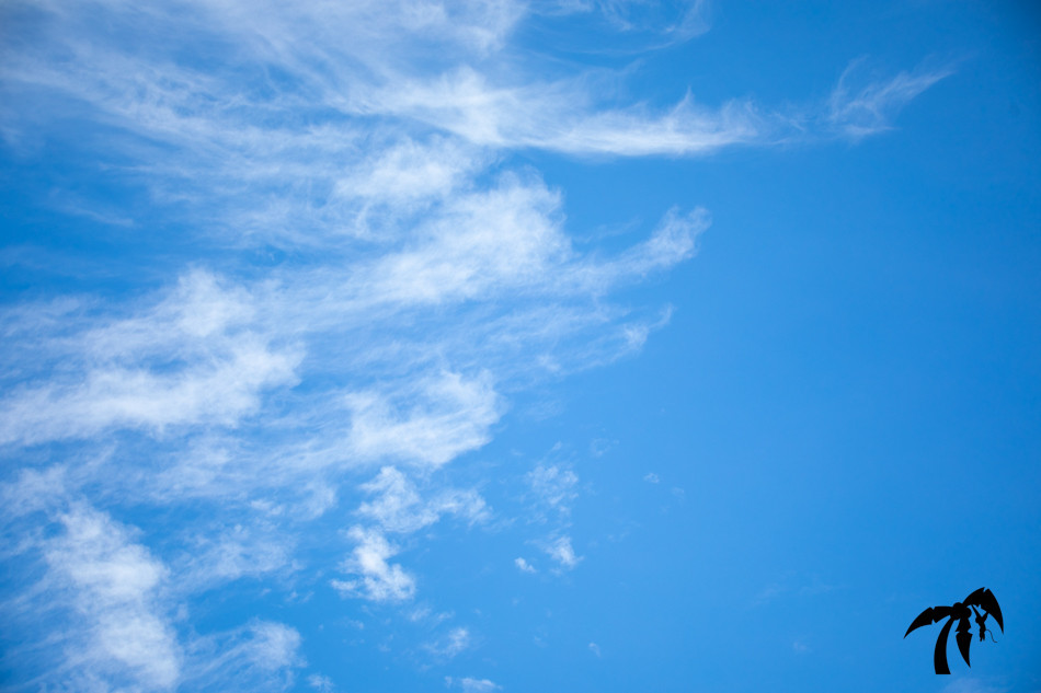 June 10th 2024 - Monday
