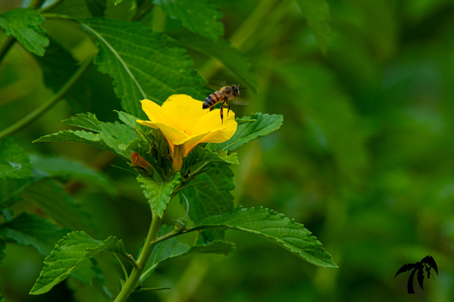 August 14th 2024 - Wednesday