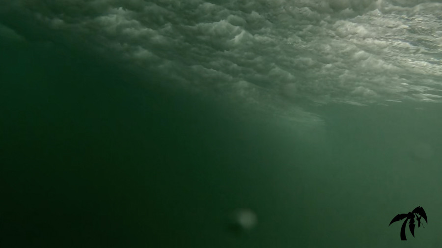 October 30th 2024 - Wednesday