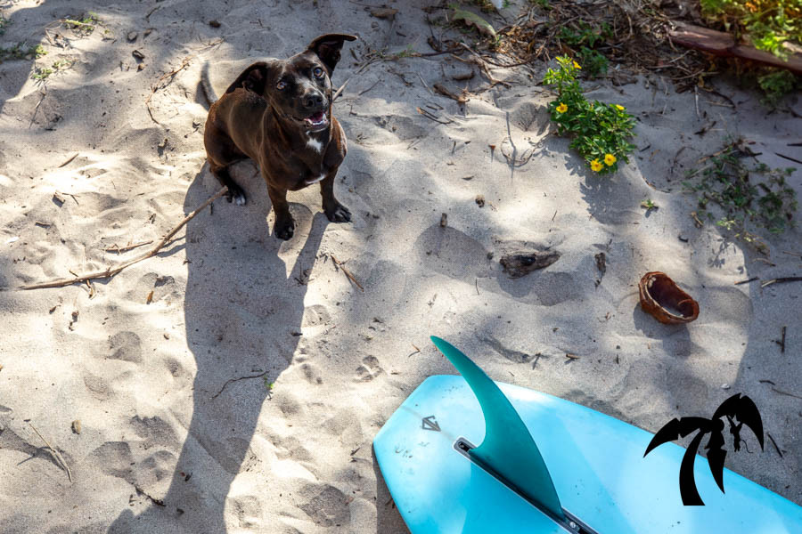 March 26th 2025 - Wednesday